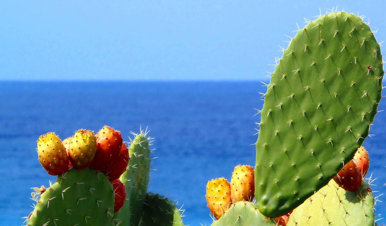 ماتيناتا Casa Dante Bed&Breakfast المظهر الخارجي الصورة